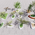 Modern Tree Planters With Various Shapes And Green Plants On Paved Ground 3d model