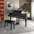 Elegant Interior With Black Grand Piano Spiral Painting Bookshelf Green Plants And Window