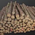 Natural Wood Logs Stacked Pile of Cut Tree Trunks in Rustic Forest