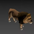 Realistic 3D Lion Model With Brown Mane Standing On Dark Background