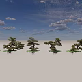 Outdoor Garden Landscape With Artistic Pine Trees In Open Green Space Design