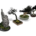Various Decorative Bonsai Trees With Stone Shaped And Potted Designs 3d model