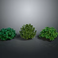 Three Green Spherical Plants With Lush Foliage On Gray Shiny Background 3d model