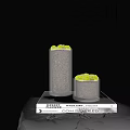 Decorative Bonsai Plants in Glass Vases with Green Moss on Stacked Books