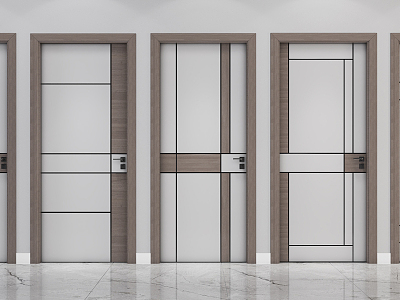 Modern swing door model