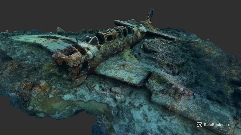 Sunken Fighter Jet Wreck Underwater With Coral Reef And Marine Life 3d model 