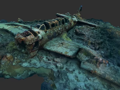 Sunken Fighter Jet Wreck Underwater With Coral Reef And Marine Life 3d model