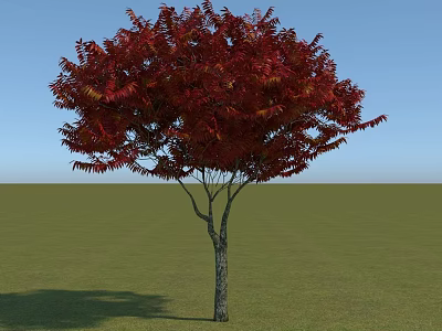 A Tall Tree With Vibrant Red Leaves Standing On Green Grass Under Blue Sky 3d model