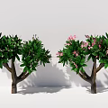 Lush Arbor Outdoor Landscape With Green Foliage And Pink Flowers