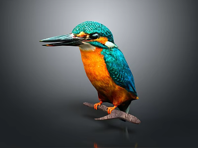 Colorful Kingfisher As Flying Animal With Blue Green Head Orange Belly Perched On Branch Against Gray Background 3d model
