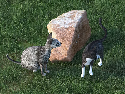 Two Cats Sitting On Green Grass Next To Large Rock 3d model