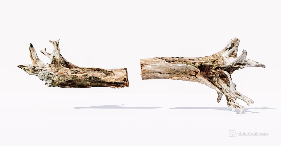 Natural Weathered Wood Logs Featuring Split Trunk And Intricate Root Texture On White Background 3d model 
