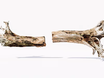 Natural Weathered Wood Logs Featuring Split Trunk And Intricate Root Texture On White Background 3d model
