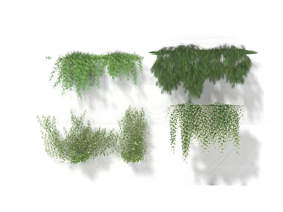 Green Decorative Vines With Hanging Foliage And Wall Covering Designs 3d model