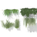 Green Decorative Vines With Hanging Foliage And Wall Covering Designs