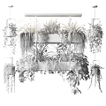 Lush Hanging Basket Plants With Vibrant Green Foliage For Indoor Decor