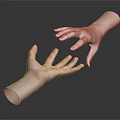 Human Hand Organ Displaying Natural Hair On Skin Surface In Closeup View