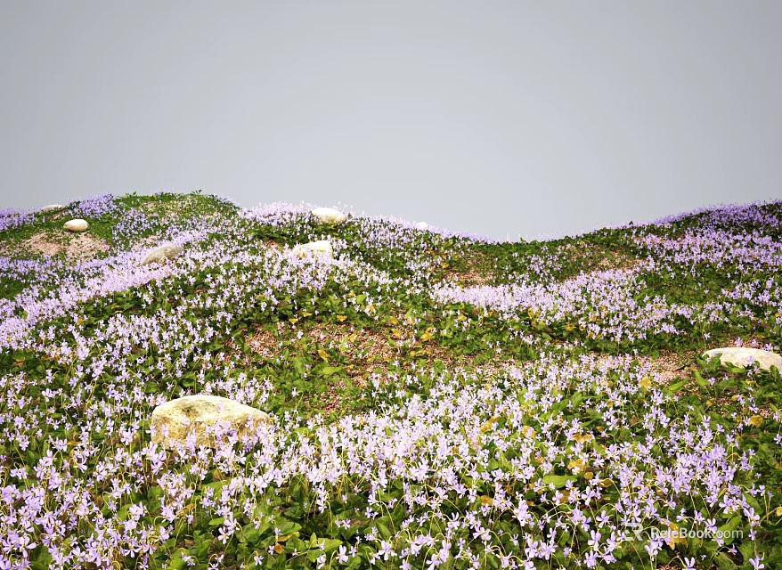 Beautiful Purple Wildflowers Blooming On Green Grassland With Stones And Natural Landscape 3d model 
