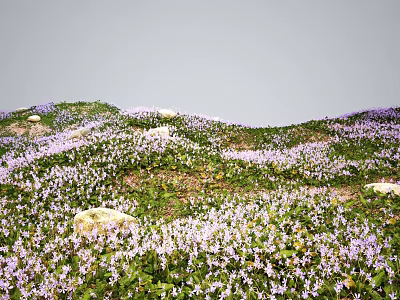 Beautiful Purple Wildflowers Blooming On Green Grassland With Stones And Natural Landscape 3d model