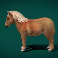 Isolated Brown Horse With White Mane Standing On Green Background 3d model