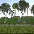 Garden Landscape with Various Trees Palm Trees and Green Grassland Under Blue Sky