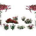 Colorful Floral Arch And Arrangements With Pink Red White Blooms And Climbing Plants