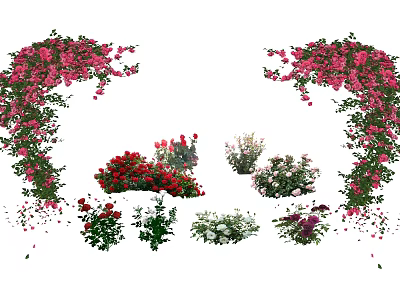 Colorful Floral Arch And Arrangements With Pink Red White Blooms And Climbing Plants 3d model