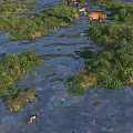 Natural Wildlife Landscape With Deer By Stream Green Grass And Rocks