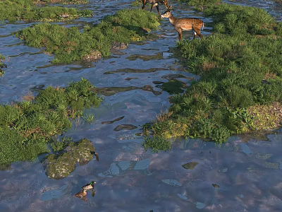 Natural Wildlife Landscape With Deer By Stream Green Grass And Rocks 3d model
