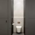 Modern Public Restroom With Gray Partitions White Toilet And Toilet Paper Holder