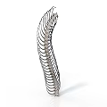 Silver Curved Spine Organ With Hair like Structures And Ring Shaped Segments