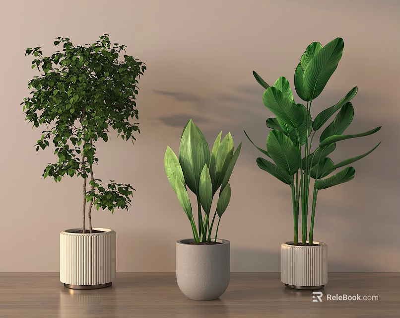 Indoor Decorative Potted Plants With Lush Green Leaves And Various Pot Designs On Wooden Floor 3d model 