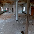 Spacious Abandoned Factory Interior With Peeling Walls Multiple Columns And Windows