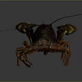 Realistic 3D Lobster Model With Brown Yellow Coloration And Large Claws On Gray Background