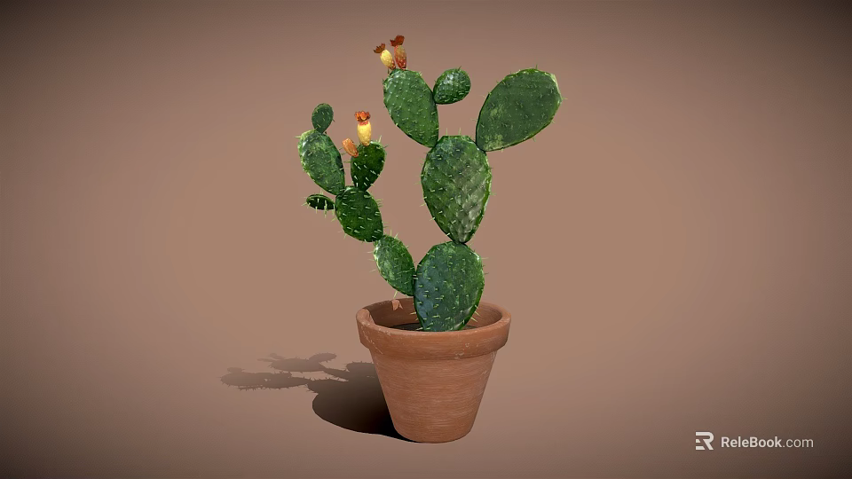 Potted Cactus With Green Paddle Shaped Leaves And Yellow Flowers In Terracotta Pot 3d model 