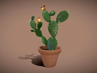 Potted Cactus With Green Paddle Shaped Leaves And Yellow Flowers In Terracotta Pot 3d model