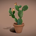Potted Cactus With Green Paddle Shaped Leaves And Yellow Flowers In Terracotta Pot