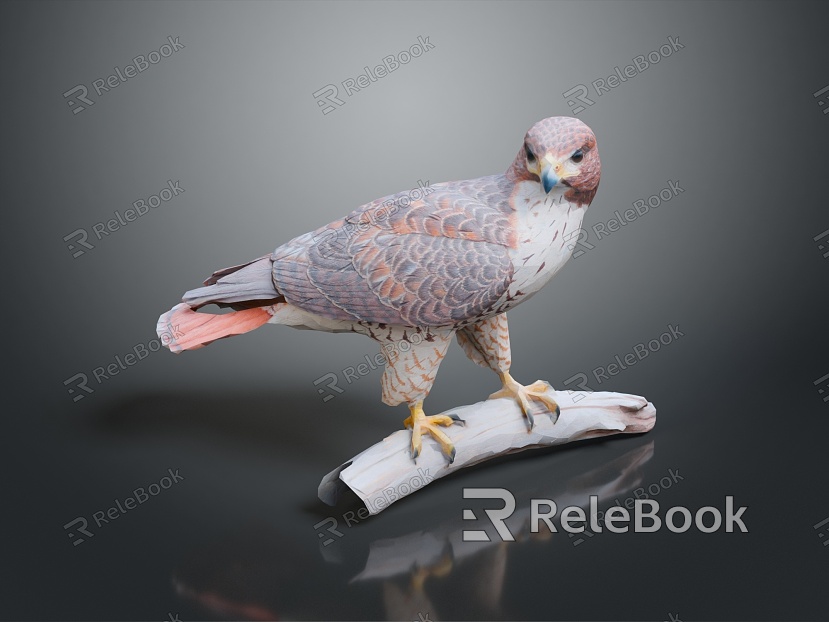 Eagle Large Eagle Owl Raptor Falcon Bird Bird Bird Animal Game Animal model