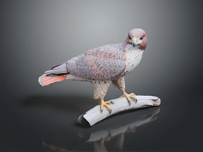 Detailed Falcon Sculpture Perched On Wooden Branch With Gray White Feathers And Red Tail 3d model
