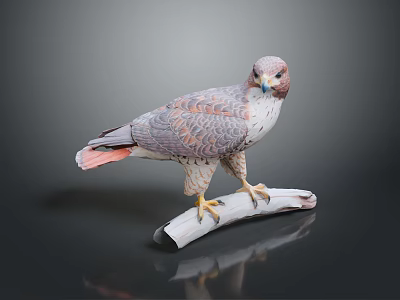Eagle Large Eagle Owl Raptor Falcon Bird Animal Game Animal 3d model