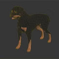 Black and Tan Rottweiler Dog with Shiny Coat Standing in Muscular Alert Pose