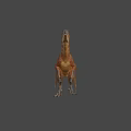 Realistic Feathered Dinosaur Model In Standing Pose With Detailed Texture