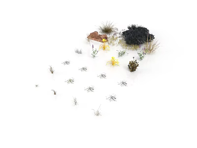 Various Plants with Small Stones Yellow Flowers and Black Bushes on White Background 3d model