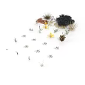 Various Plants with Small Stones Yellow Flowers and Black Bushes on White Background