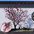 Red Blossom Arbor With White Wall Black Carved Windows Circular Fan Decoration And Pebble Ground