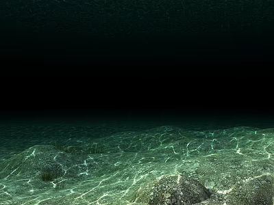 Universal Underwater Scene Submarine Lake Bottom Universal Underwater Scene Submarine Lake Bottom Universal Underwater Scene Submarine Lake Bottom 3d model