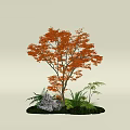 Ornamental Tree with Orange Leaves Green Ferns Gray Stones Round Golden Object on Green Grass