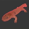 Realistic Brown Salamander With Detailed Skin Texture And Limbs On Dark Background