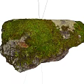 Mossy Natural Stone And Rustic Wood With Organic Texture For Decorative Design