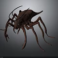 Red Arachnid Creature With Long Antennae Many Slender Legs And Oval Body